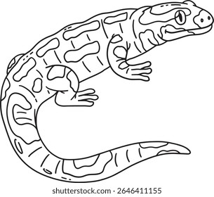 Forest Animal Fire Salamander Isolated Coloring 