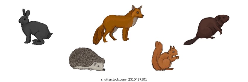 Forest Animal and Habitant with Bunny, Fox, Hedgehog, Squirrel and Beaver Vector Set