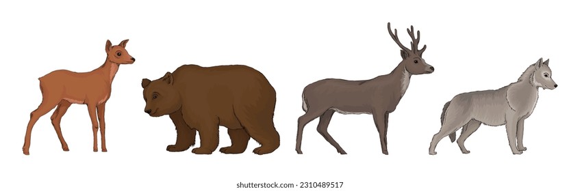 Forest Animal and Habitant with Deer, Bear and Wolf Vector Set