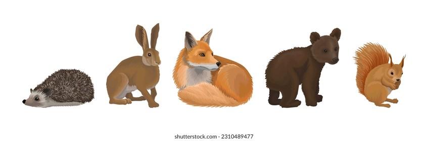 Forest Animal and Habitant with Hedgehog, Rabbit, Fox, Bear Cub and Squirrel Vector Set