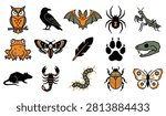 Forest Animal and Insect Icon Collection Vector