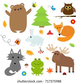 Forest animal insect set. Bear hare fox moose owl ladybug bee butterfly frog wolf fir tree leaf flower mushroom. Kids education cards. White background. Isolated. Flat design Vector illustration