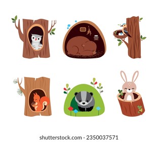 Forest Animal in Their Cozy Home and Burrow Vector Set