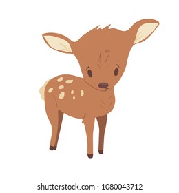 Forest animal vector with isolated cartooning little fawn baby deer. Good as print card sticker for kids accesories