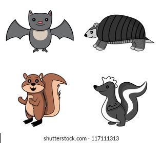forest animal.bat.armadillo.squirrel.skunk