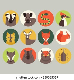 Forest animals