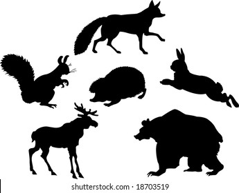 Forest animals