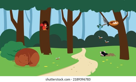 forest animals in the forest