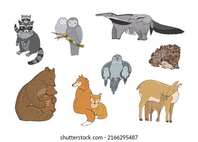Forest animals with babies vector illustrations set