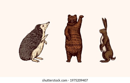 Forest animals. Bear Grizzly and red Fox, Hare and Hedgehog. Jumping beasts. Vector Engraved hand drawn Vintage sketch for label or poster.