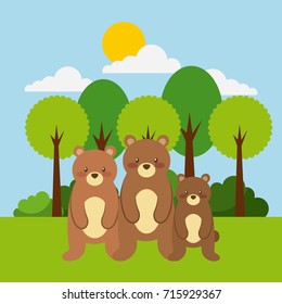 forest and animals bear wildlife natural