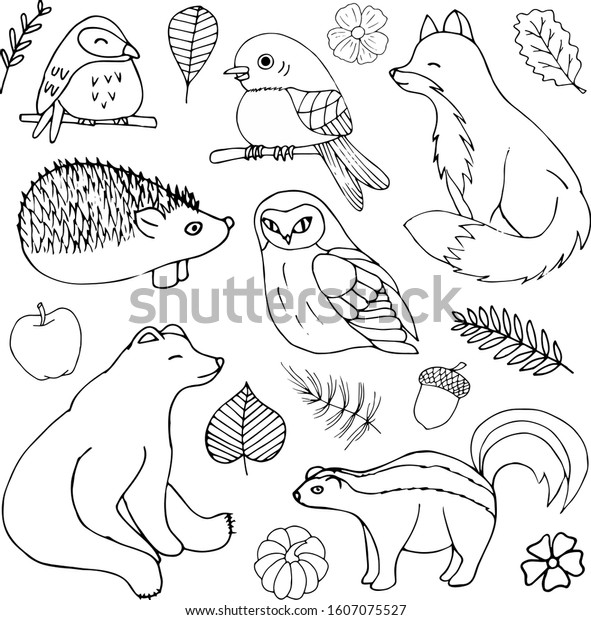 Forest Animals Birds Doodle Autumn Fall Stock Vector (Royalty Free ...