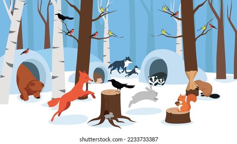 forest animals and birds in the winter forest