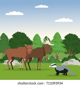 Forest animals cartoon