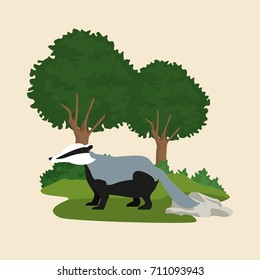 Forest animals cartoon