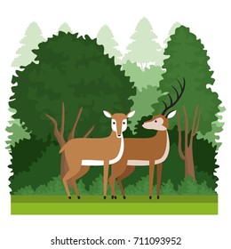 Forest animals cartoon