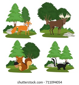 Forest animals cartoon