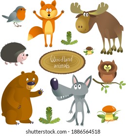 Forest animals cartoon vector. Full-length animal figures. Set of seven characters and two forest attributes