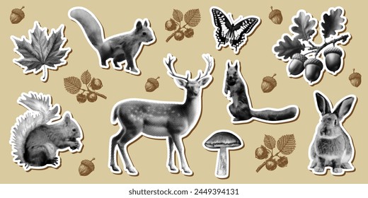 forest animals collage design set with deer squirrel butterfly rabbit plants oak acorn maple leaf mushroom retro vintage halftone dotted elements with crazy grunge hand drawn doodle shapes