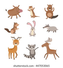 Forest Animals Collection