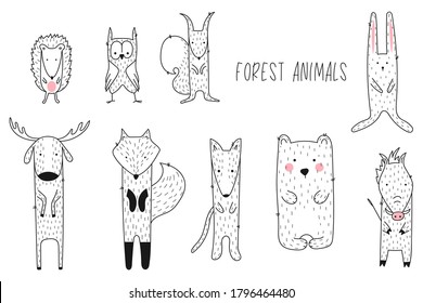 Forest animals collection. Hand drawn bear, Fox, wolf, deer, boar, squirrel, hare, owl and hedgehog.