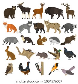 Forest animals color flat icons set