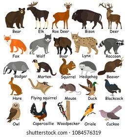 Forest animals color flat icons set