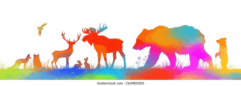 Forest animals colorful. Vector illustration