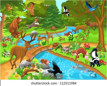 forest animals coming to drink water