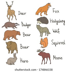 Forest animals drawings icons set on white background