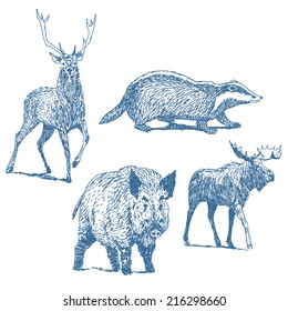 Forest animals drawings set isolated on white background: deer, badger, boar, moose