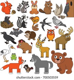 Forest animals elements set, collection of coloring book template, the group of outline digital elements vector illustration, kid game page.