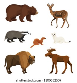 Forest animals with fluffy fur, predators and herbivorous set