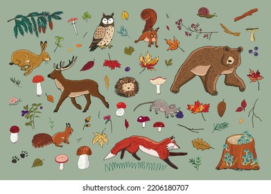 Forest animals: fox, bear, deer, owl, hare and nature objects: mushrooms, leaves, berries vector 
illustrations set