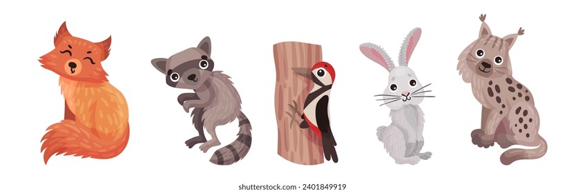 Forest Animals with Fox, Raccoon, Woodpecker, Bunny and Lynx Vector Set