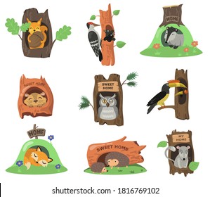 Animales forestales en un juego de ilustración plano hueco. Ardilla de caricatura, zorro, búho o ave en hoyos de roble aislados de ilustración vectorial. Casa en tronco y concepto de decoración