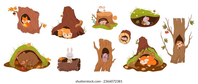 Forest animals inside holes and burrows. Tree burrow and hole in earth. Bear hibernation, mouse, red fox and owl. Deer peeking, nowaday vector set