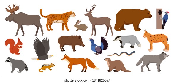 Forest animals isolated on white set of vector illustration. Woodland wild animals and birds nature collection. Moose, deer, bear and hedgehog, rabbit, squirrel, beaver or wolf, fox, raccoon.