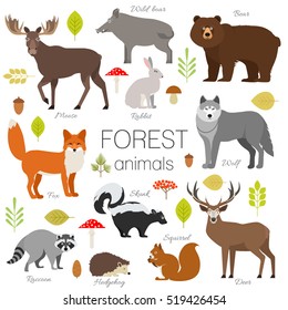 Forest animals isolated vector set. Moose, wild boar, bear, fox, rabbit, wolf, skunk, raccoon, deer, squirrel, hedgehog