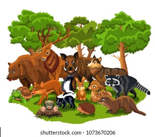 forest animals like bear, wolf, fox, rabbit, squirrel, deer, skunk, boar