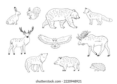 Forest animals line vector illustrations set.