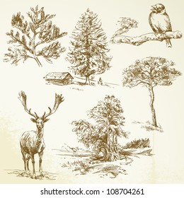 forest, animals, nature - hand drawn collection