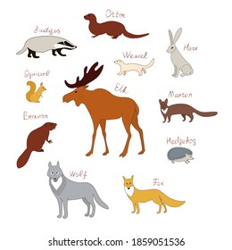 Forest animals of the Northern hemisphere s with text names. Vector image color collection.
