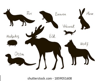 Forest animals of the Northern hemisphere s with text names. Vector image silhouettes collection.