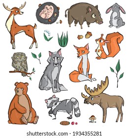 Forest animals on white background Cute Cartoon Vector illustration