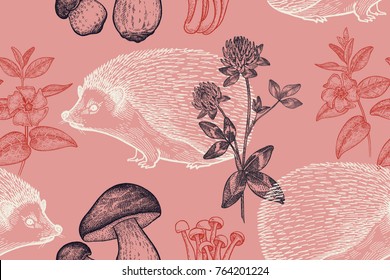 Forest animals and plants seamless pattern. Hedgehog and flowers of clover, periwinkle and mushrooms. Hand drawing. Red, white and black background. Vintage engraving. Vector illustration art.