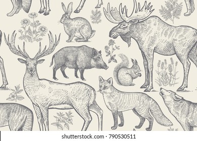 Forest animals and plants seamless pattern. Deer, wolf, fox, boar, squirrel, hare, elk and flower lavender, chamomile and clover. Hand drawing. Black and white. Vintage vector illustration