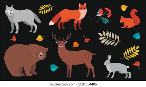 Forest animals and plants set: bear, wolf, fox, deer, wolf, hare, squirrel, bullfinch on rowan branch and autumn leaves isolated on black background. Colorful vector illustration of wild animals