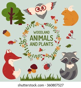 Forest animals and plants set. Cute woodland elements isolated on clean background. Vector collection for baby and kids design. Hand drawn illustration.