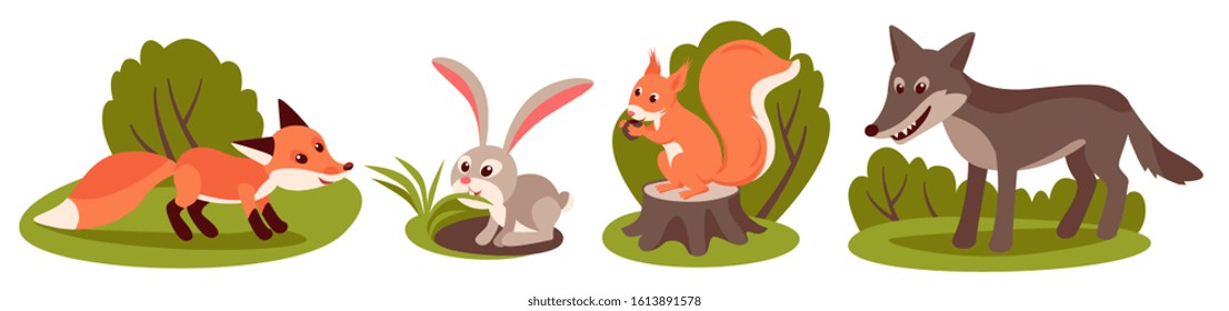 forest animals, red fox, rabbit eats grass, gray wolf, red squirrel sits on a stump and eats a nut